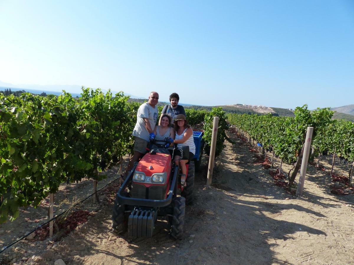 Datça Vineyard Exterior foto
